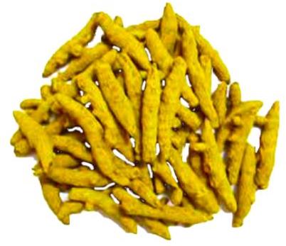 Raw Natural Rajapuri Turmeric, For Ayurvedic Products, Cosmetic Products, Herbal Products, Medicine