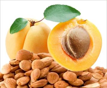 Natural Bitter Apricot Kernels, Feature : Rich In Protein