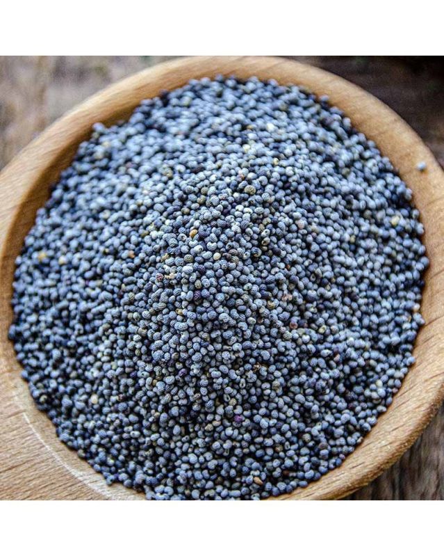 Blue Poppy Seeds