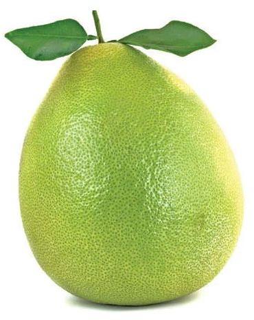 Green Natural Fresh Pomelo, for Human Consumption, Packaging Type : Box