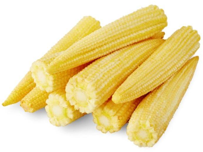 Frozen Baby Corn, for Cooking, Packaging Size : 1kg, 5 Kg, 10 Kg