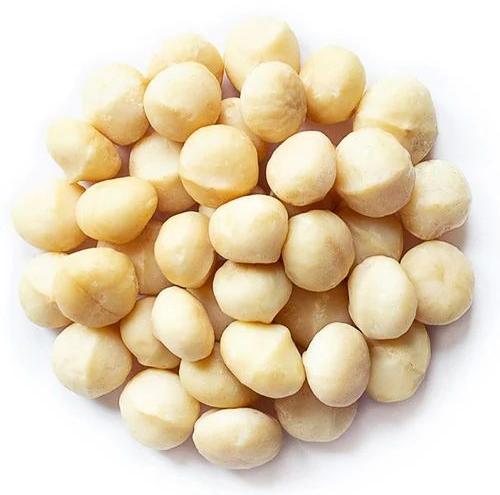 Creamy Macadamia Nuts, for Human Consumption, Feature : High In Protein