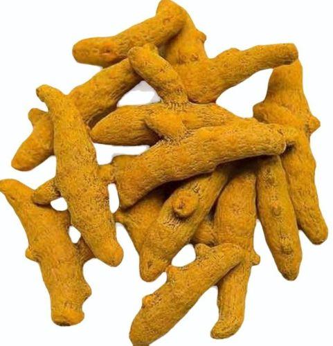 Yellow Whole Rajapuri Turmeric Finger, for Cooking, Shelf Life : 6 Month