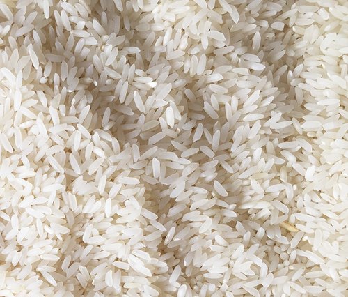 White Sona Masoori Steam Rice, for Human Consumption, Packaging Type : Jute Bag