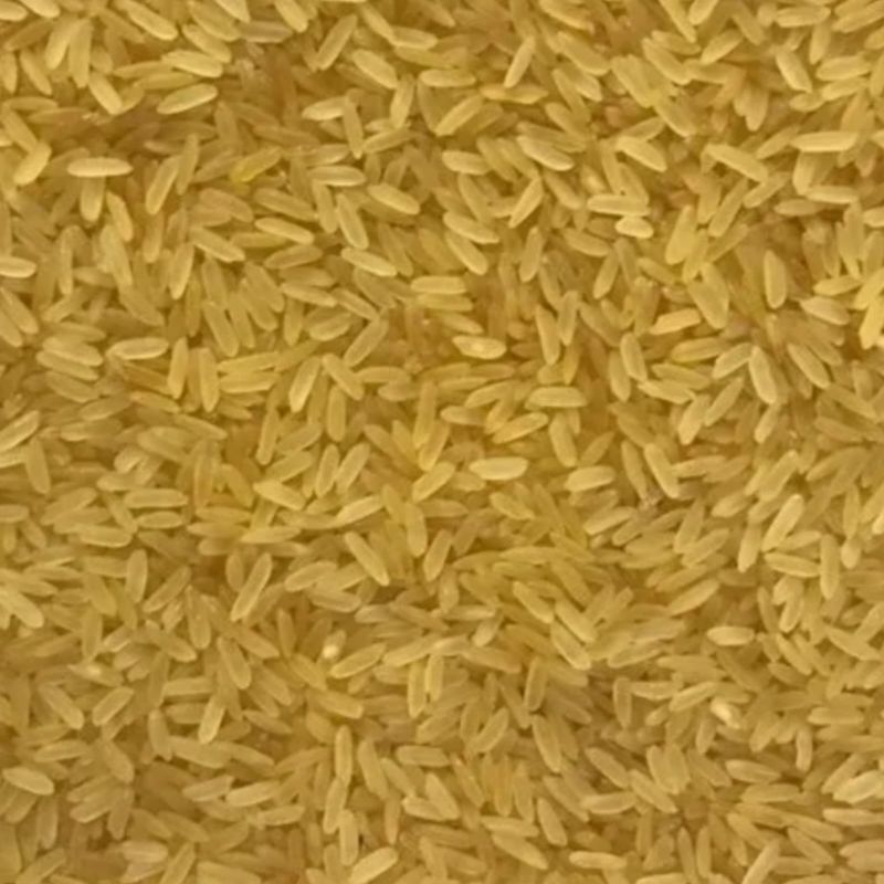 Unpolished Soft Organic Golden Non Basmati Rice, for Cooking, Variety : Long Grain