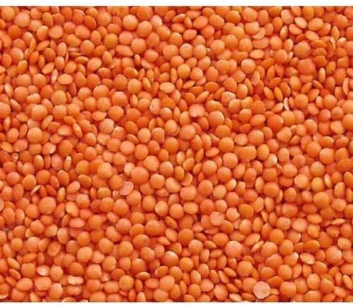 Orange masoor dal, for Cooking, Feature : Healthy To Eat