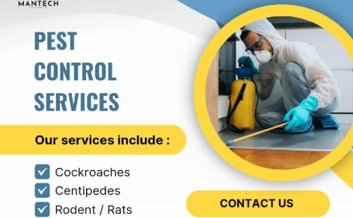 termite control services