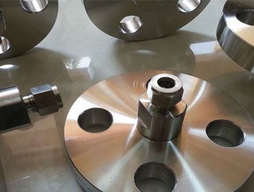 Inconel Flanges