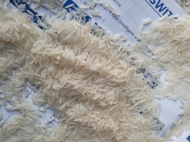Common white sella sharbati rice, Packaging Size : 25kg