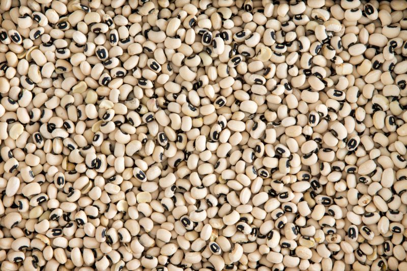 Natural Black Eye Beans, for Cooking, Packaging Type : PP Bags, Jute Bags