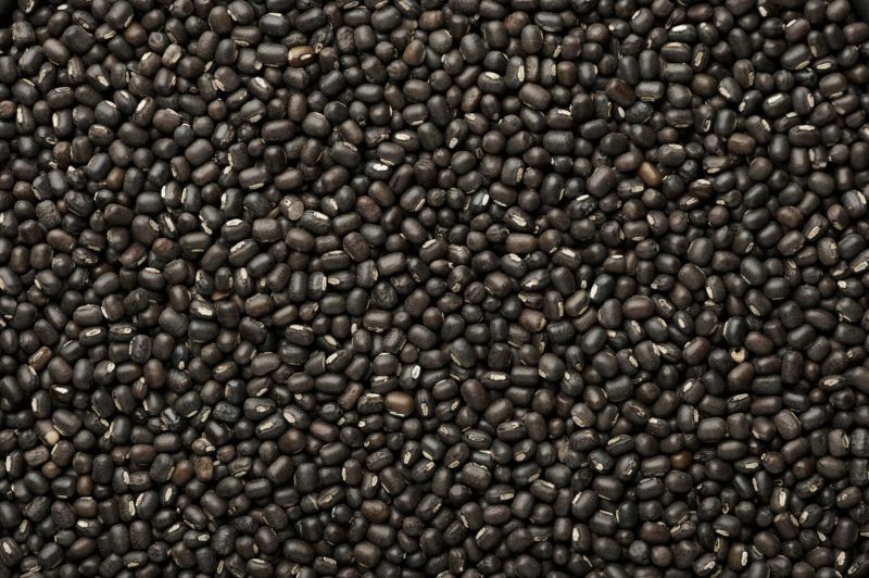 Black Matpe Beans