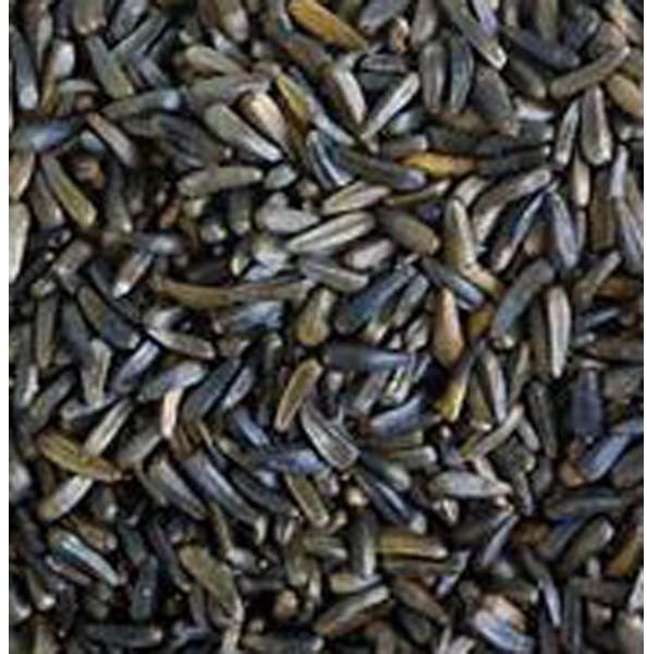 Natural Black Niger Seeds, Purity : 99.9%