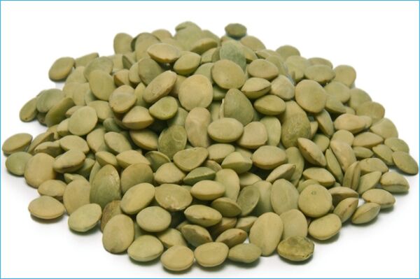 Natural Green Lentils, for Cooking, Grade Standard : Food Grade