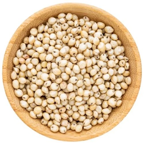 White Sorghum Grain