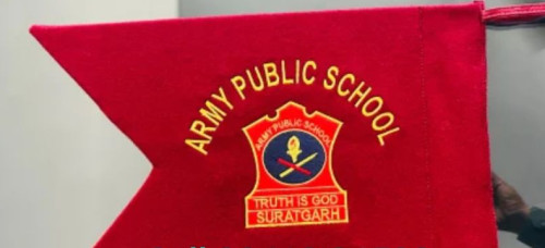 Army Public School Lancer flag