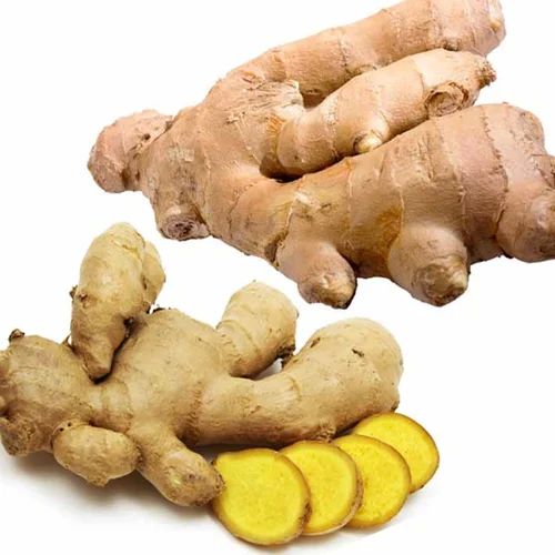 Organic Fresh Ginger, for Cooking, Packaging Size : 20kg