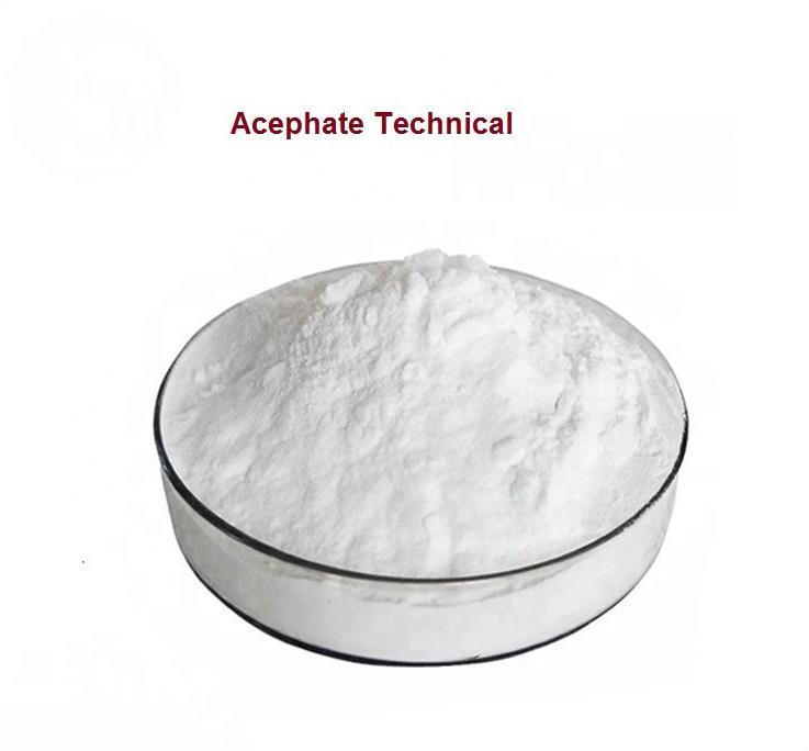 Powder Acephate Technical 97%, Purity : 99%