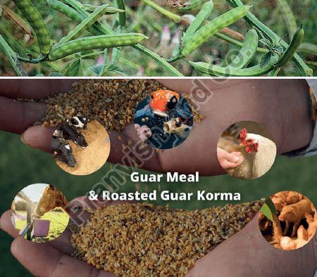 Powder Guar Korma for Cattle Feed, Packaging Type : PP Bags