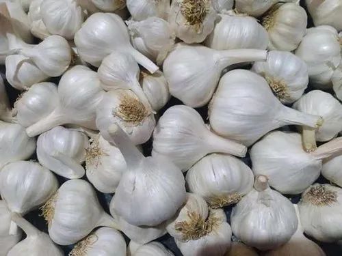 White Whole Cloves A Grade Garlic, for Cooking, Shelf Life : 15 Days