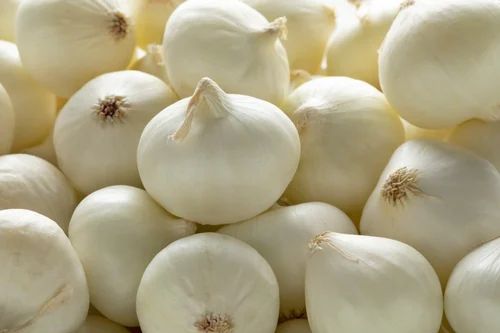 A Grade White Onion