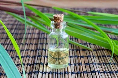 Natural 75%to80%Gereniol Citronella Oil, for Essential Products Use, Size : Barrel