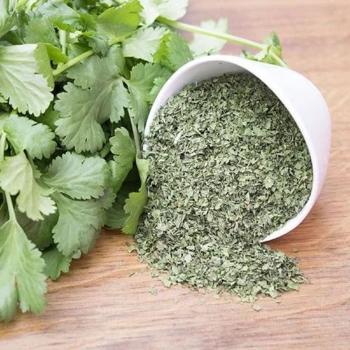 Green Freeze Dried Coriander Leaves, for Cooking, Purity : 99%