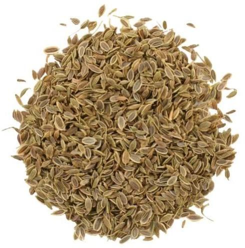 Dill Seeds