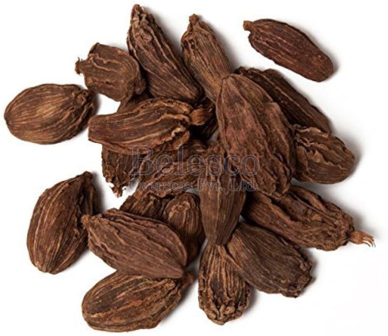 Pods Black Cardamom, for Cooking, Shelf Life : 12 Months