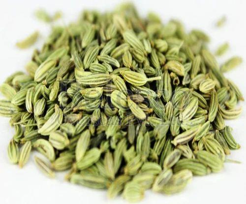 Green Natural Fennel Seeds, for Cooking, Packaging Type : Plastic Packet, Paper Box