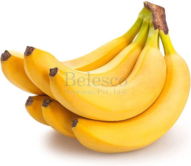 Fresh banana, Shelf Life : 5-7 Days