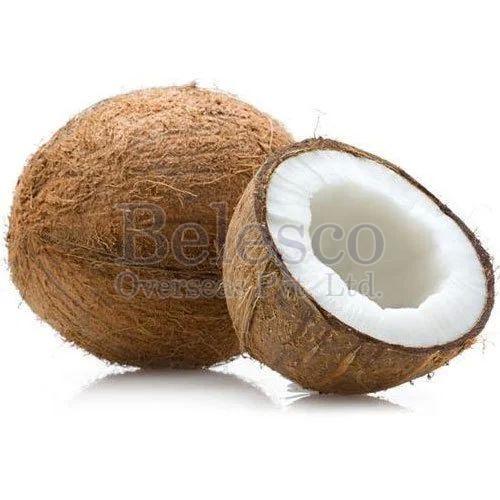 fresh brown coconut