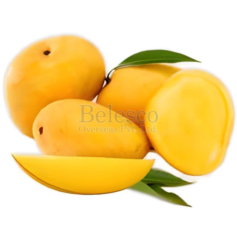 Natural Fresh Chaunsa Mango, Shelf Life : 10 Days