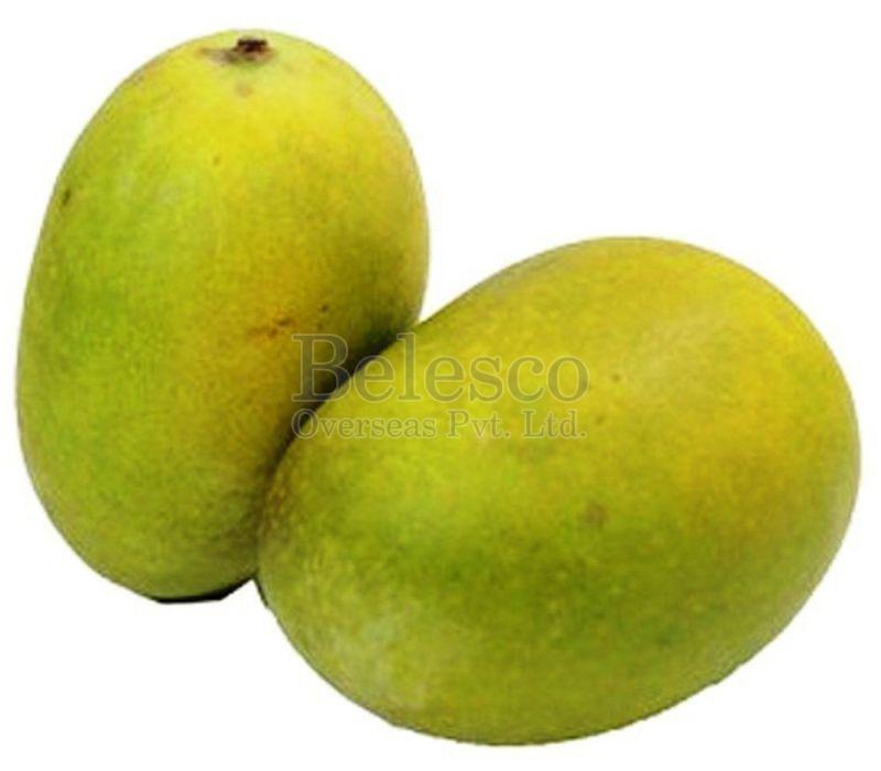 Fresh Langra Mango, for Human Consumption, Making Juice, Taste : Sweet