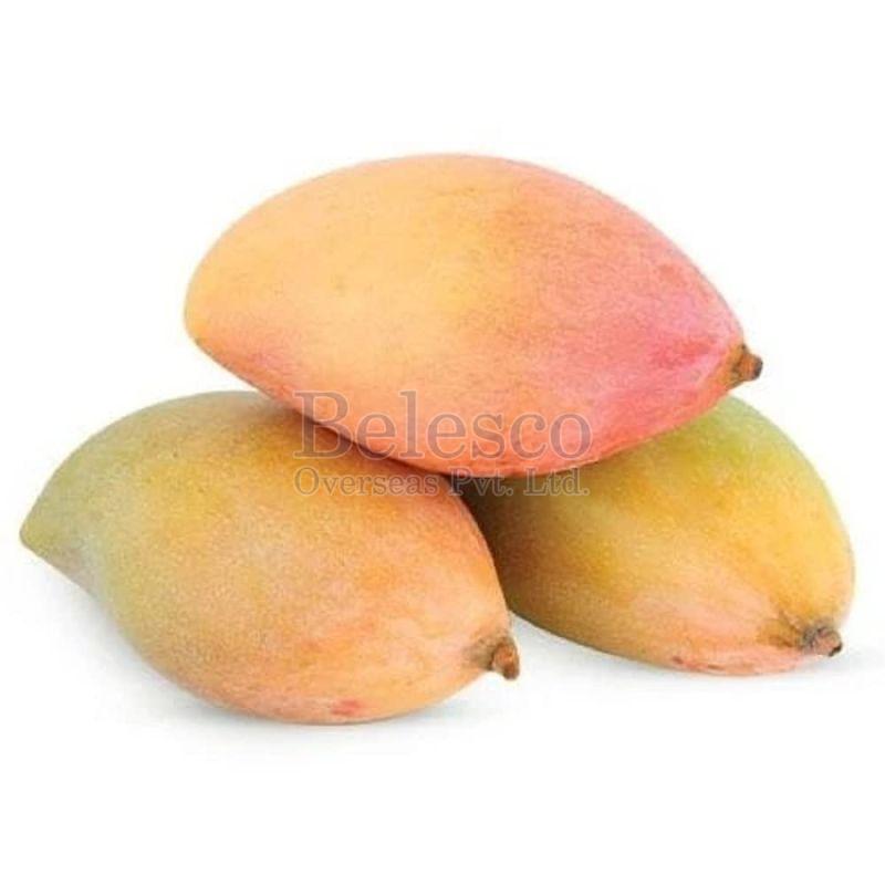 Fresh Totapuri Mango, for Human Consumption, Taste : Sweet