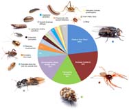 Paper Biology Charts For Biological Labs, Educational Institutions, Hospital, Office, School