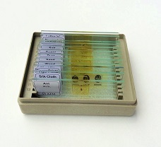 prepared micro slide