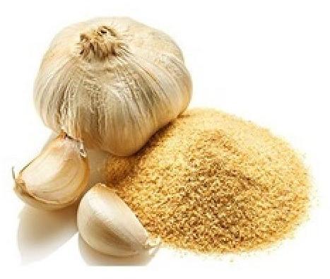 Light Yellow Garlic Powder, for Cooking, Packaging Size : 500gm