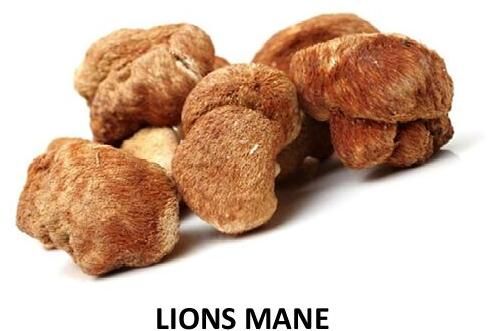 Dried Lions Mane Mushroom