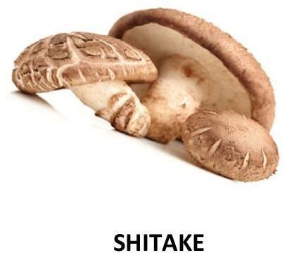 Dried Shiitake Mushroom