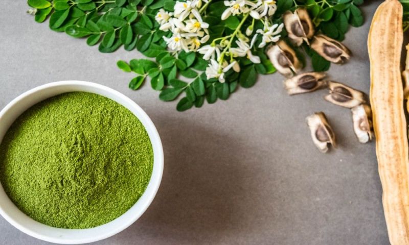 moringa powder