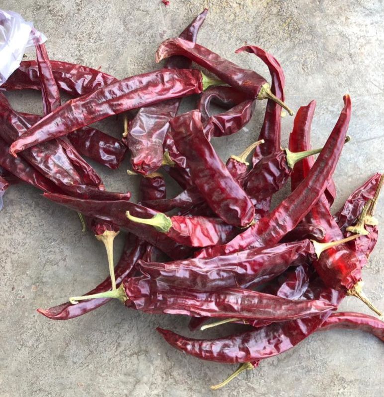 Wonder Hot Dry Red Chilli, for Cooking, Grade Standard : Food Grade at ...