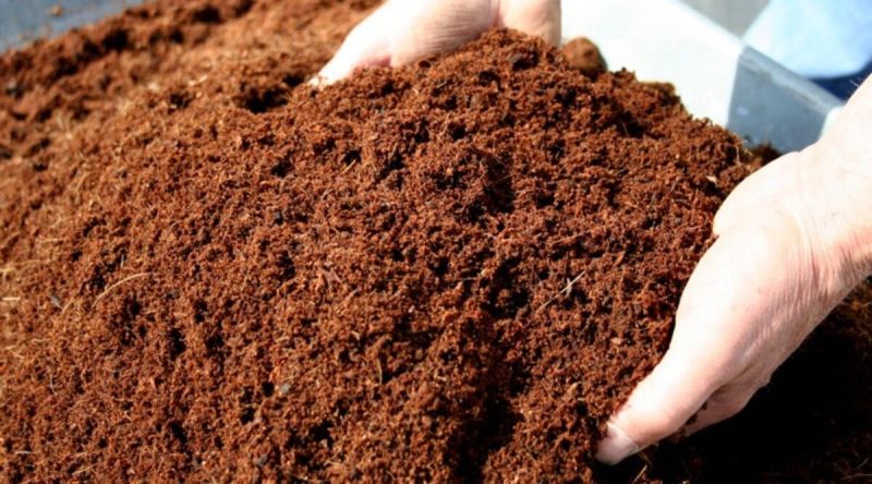 Dark Brown Coir Compost Fertilizers, Packaging Type : Hdpe/pp Bags
