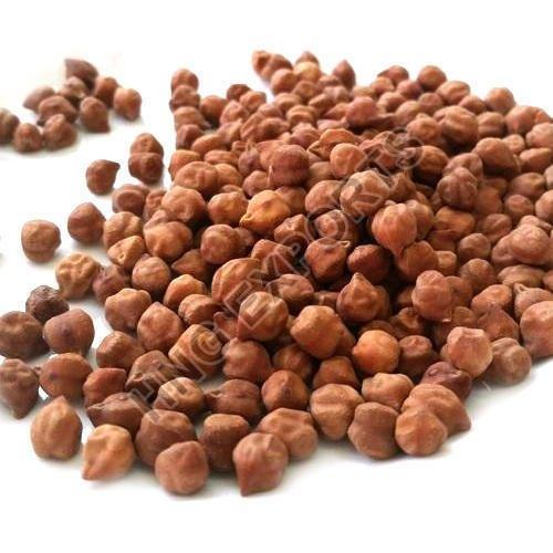 Organic Black Chickpeas, for Cooking, Certification : FSSAI Certified