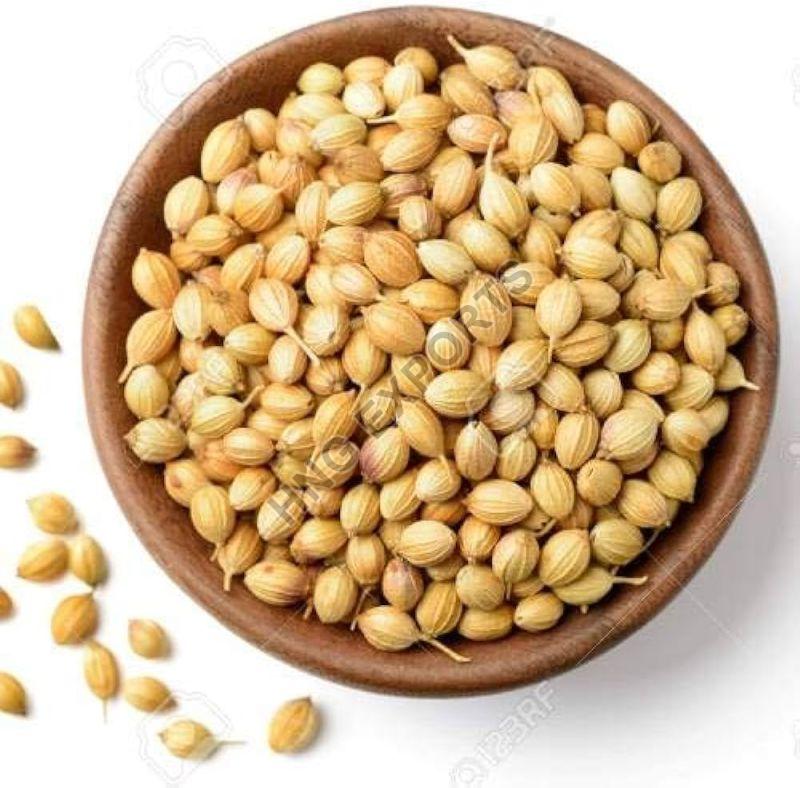 Brown Raw Organic Coriander Seeds, for Cooking, Certification : FSSAI Certified