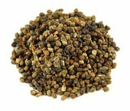 Black Raw Organic Green Cardamom Seeds, For Cooking, Certification : Fssai Certified