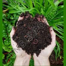 Brown Organic Vermicompost, for Agriculture, Packaging Type : Plastic Bag