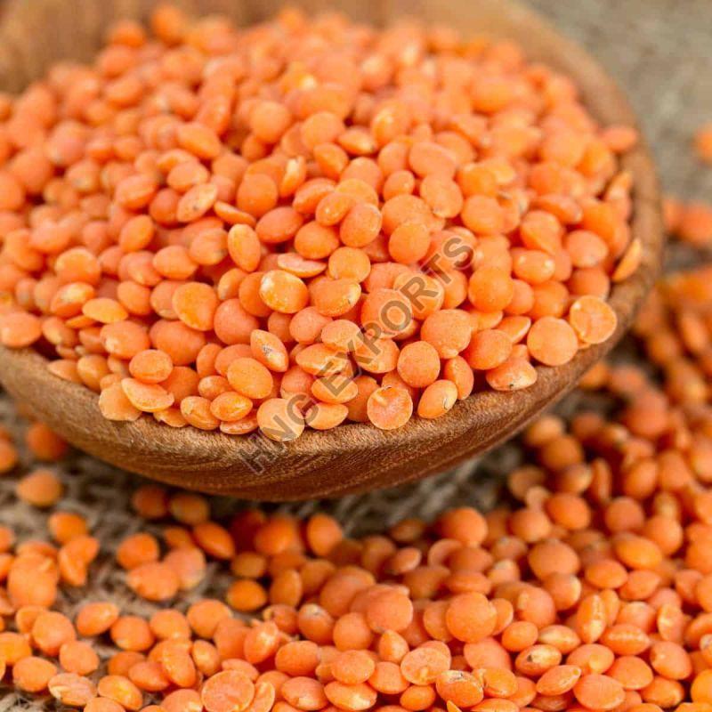 Organic Red Masoor Dal, for Cooking, Style : Dried