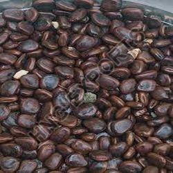 Brown Tamarind Seeds, for Food Medicine