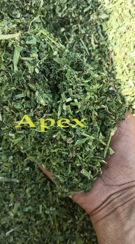 Alfalfa Leaves, Packaging Type : Plastic Packet