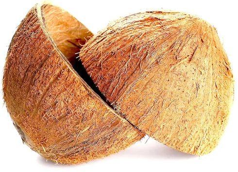 Natural coconut shell